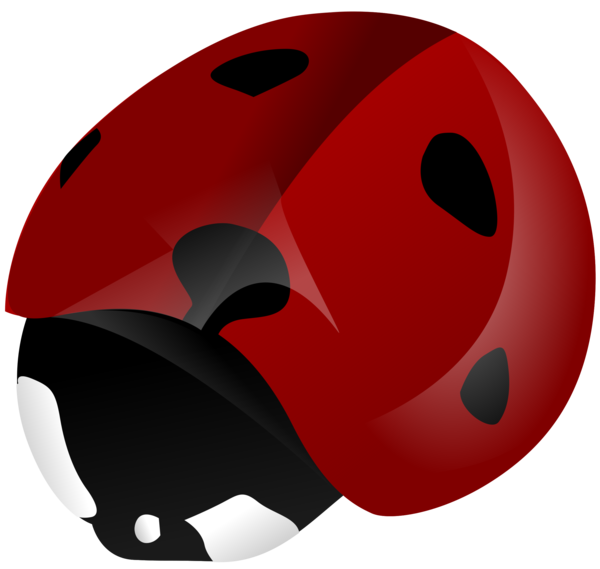 Free Insect Ladybird Helmet Bicycle Helmet Clipart Clipart Transparent Background