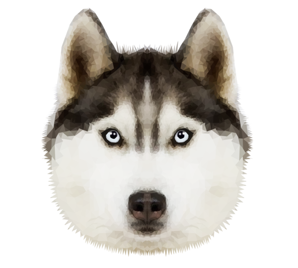 Free Dog Dog Siberian Husky Sakhalin Husky Clipart Clipart Transparent Background