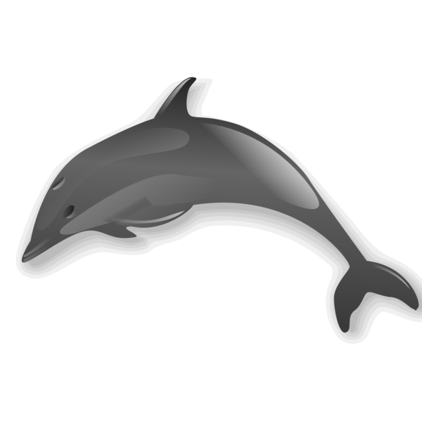 Free Dolphin Dolphin Porpoise Clipart Clipart Transparent Background