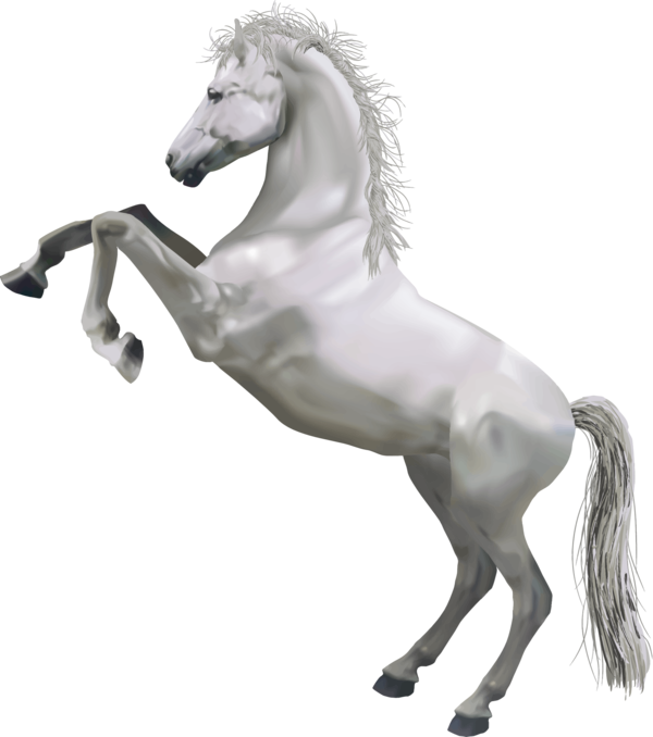 Free Horse Horse Mane Stallion Clipart Clipart Transparent Background