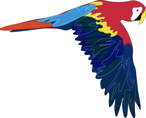 Free Bird Bird Beak Macaw Clipart Clipart Transparent Background