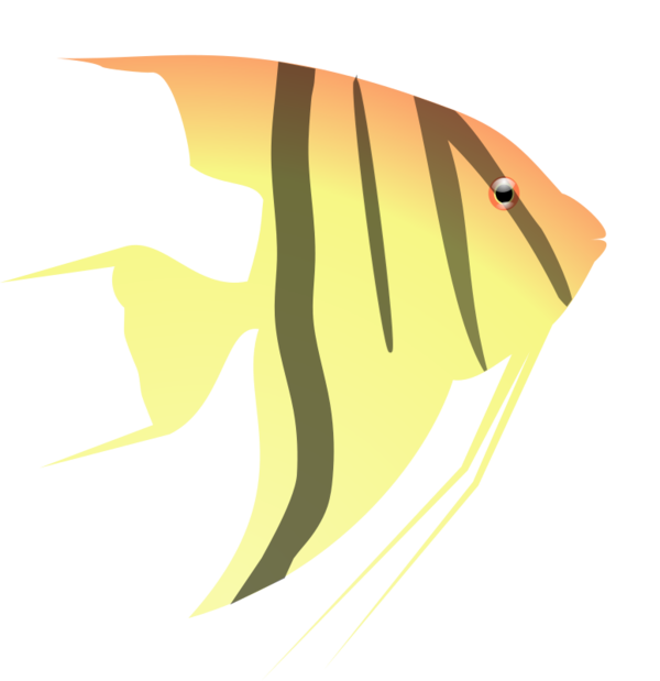 Free Bird Fish Wing Line Clipart Clipart Transparent Background
