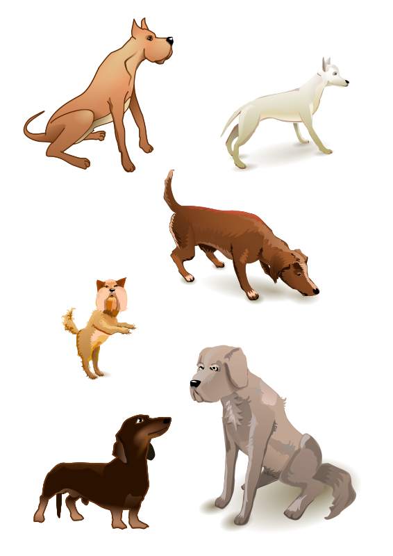 Free Cat Dog Tail Companion Dog Clipart Clipart Transparent Background