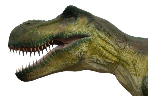 Free Dinosaur Dinosaur Tyrannosaurus Jaw Clipart Clipart Transparent Background