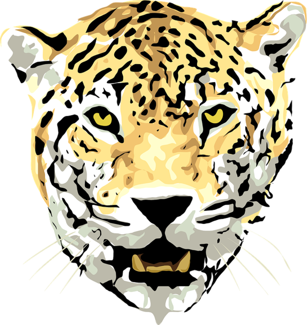 Free Cat Face Leopard Tiger Clipart Clipart Transparent Background