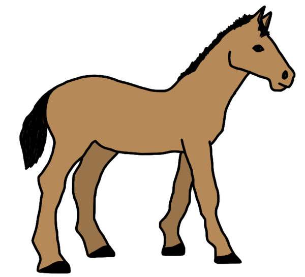 Free Donkey Horse Colt Mane Clipart Clipart Transparent Background