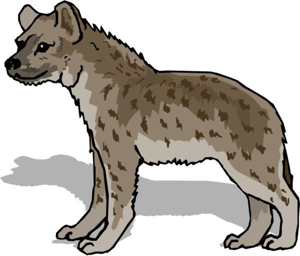 Free Cat Wildlife Puma Head Clipart Clipart Transparent Background