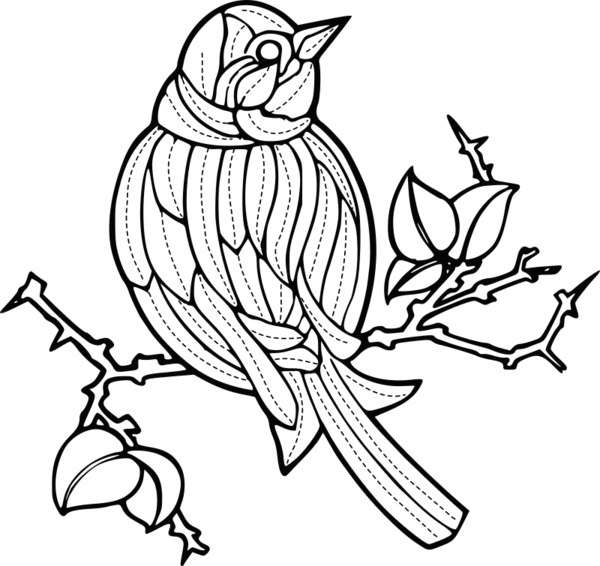 Free Bird Bird Black And White Beak Clipart Clipart Transparent Background