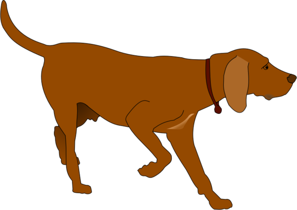 Free Hunting Dog Snout Tail Clipart Clipart Transparent Background