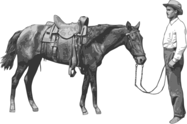 Free Walking Horse Bridle Rein Clipart Clipart Transparent Background