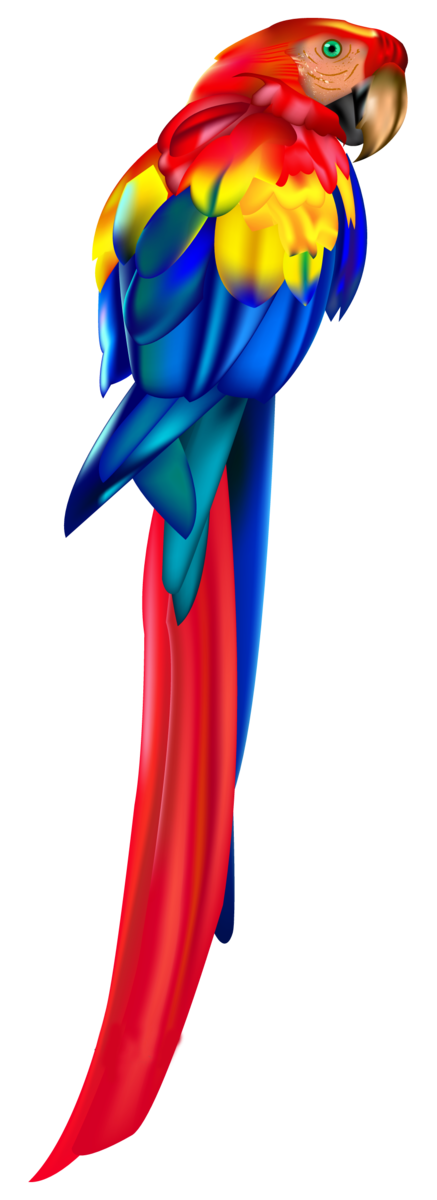Free Bird Bird Macaw Parrot Clipart Clipart Transparent Background