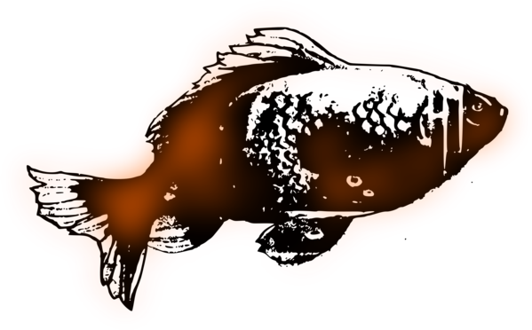 Free Fish Fish Clipart Clipart Transparent Background