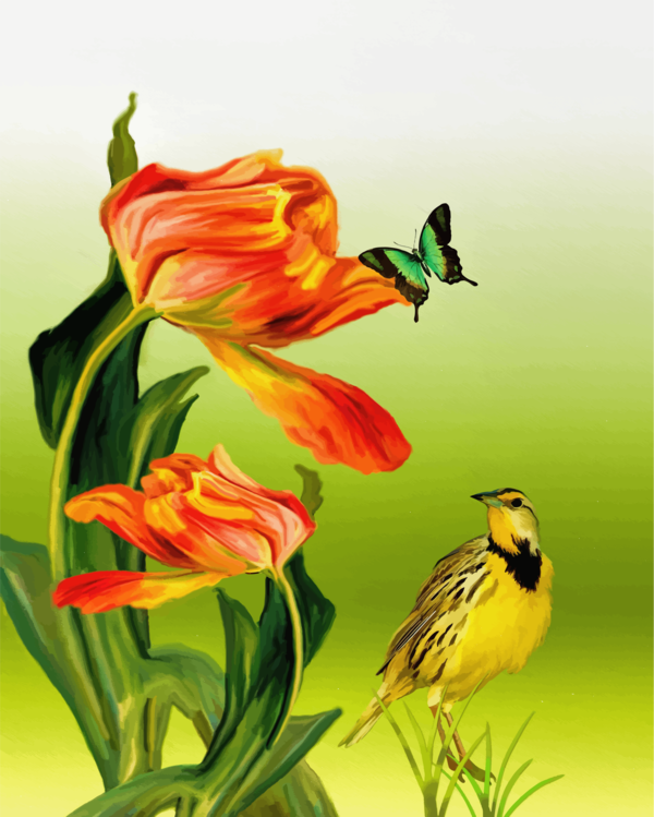 Free Bird Bird Flower Beak Clipart Clipart Transparent Background