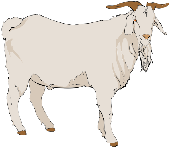 Free Cow Goats Horn Sheep Clipart Clipart Transparent Background