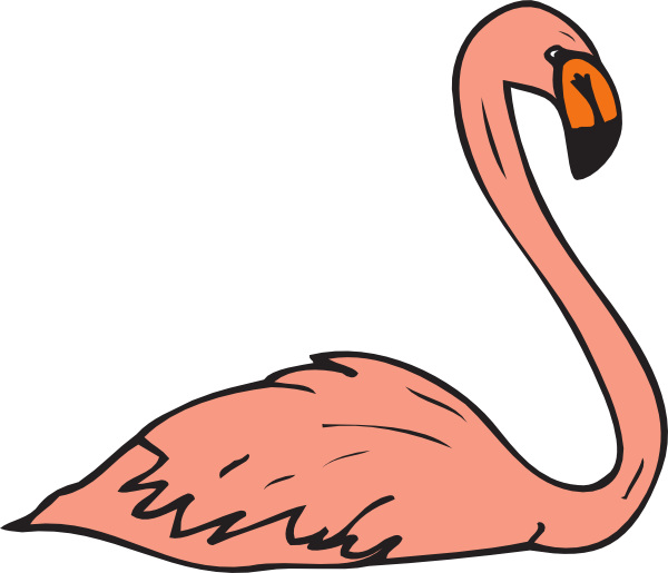 Free Bird Beak Water Bird Flamingo Clipart Clipart Transparent Background