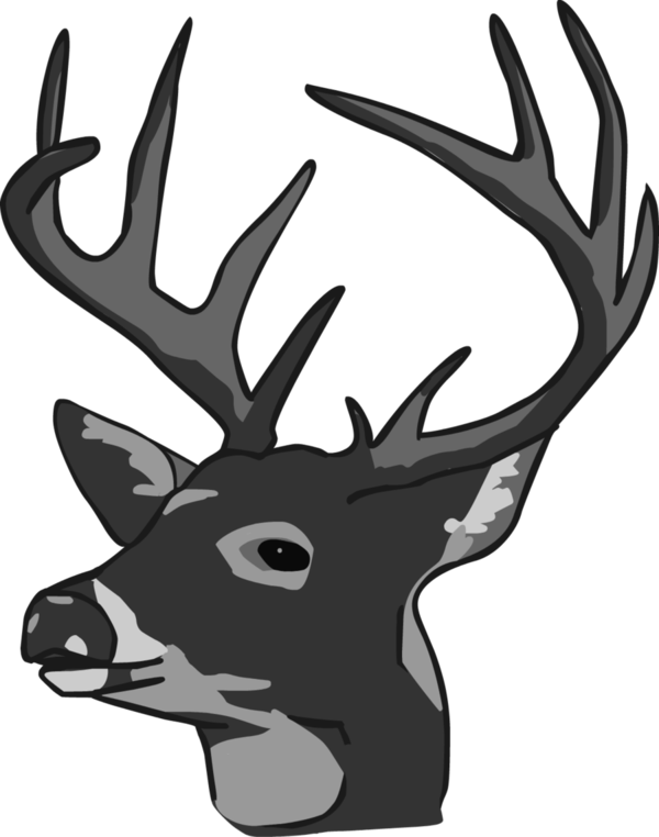 Free Hunting Deer Antler Black And White Clipart Clipart Transparent Background