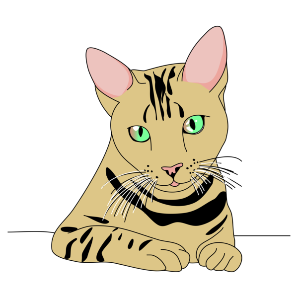 Free Cat Cat Facial Expression Whiskers Clipart Clipart Transparent Background