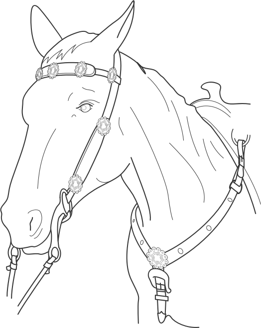 Free Horse Line Art Bridle Horse Clipart Clipart Transparent Background