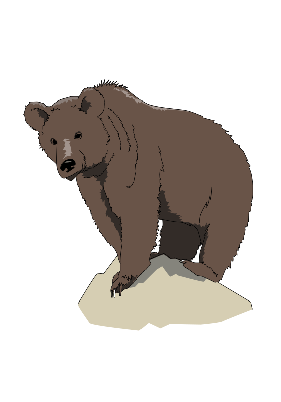 Free Bear Bear Grizzly Bear Brown Bear Clipart Clipart Transparent Background