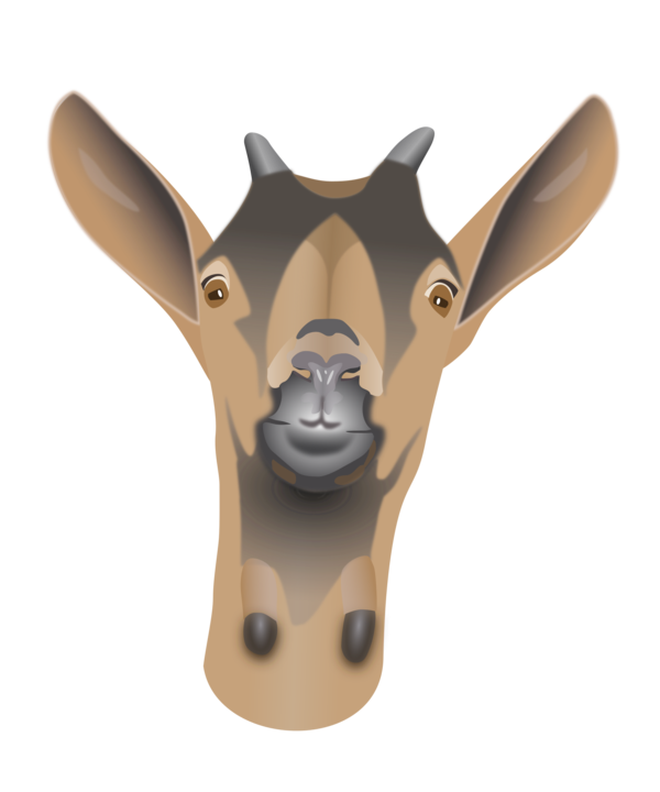 Free Goat Horn Head Giraffe Clipart Clipart Transparent Background