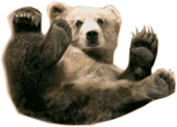Free Bear Bear Snout Fur Clipart Clipart Transparent Background