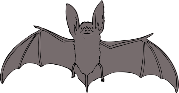 Free Bat Bat Wing Tail Clipart Clipart Transparent Background
