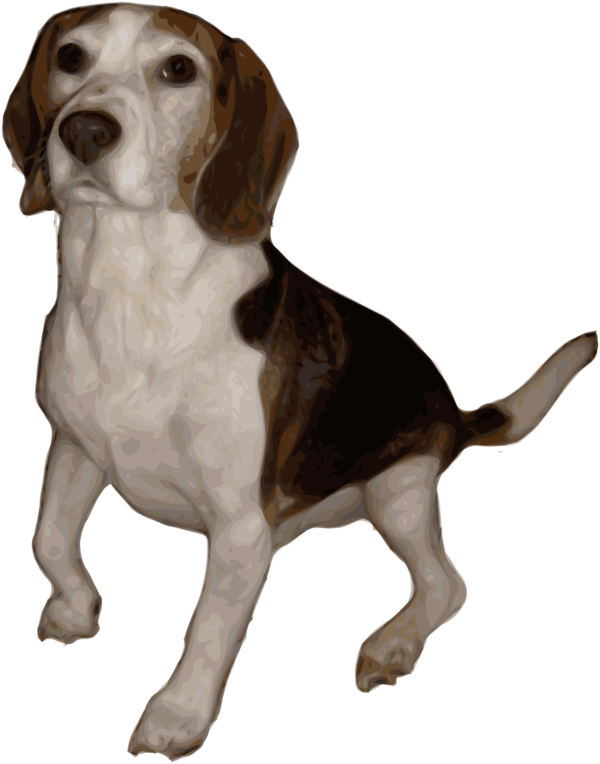 Free Hunting Dog Harrier Beagle Clipart Clipart Transparent Background