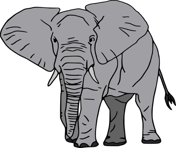 Free Elephant Elephant Wildlife Indian Elephant Clipart Clipart Transparent Background