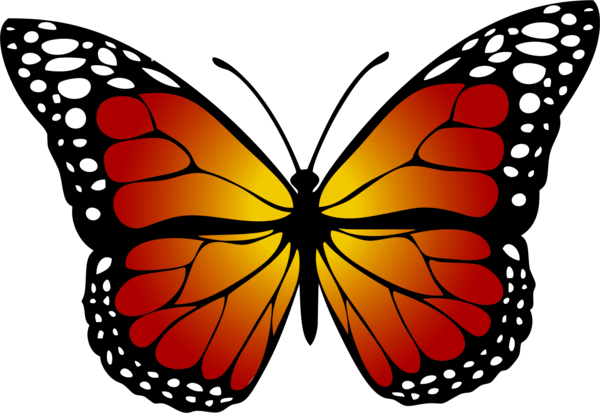 Free Butterfly Butterfly Moths And Butterflies Monarch Butterfly Clipart Clipart Transparent Background
