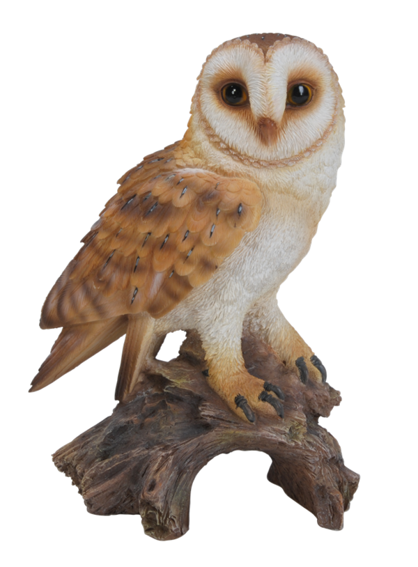 Free Bird Owl Bird Of Prey Bird Clipart Clipart Transparent Background
