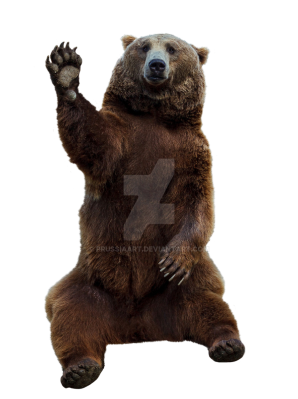 Free Bear Brown Bear Grizzly Bear Bear Clipart Clipart Transparent Background