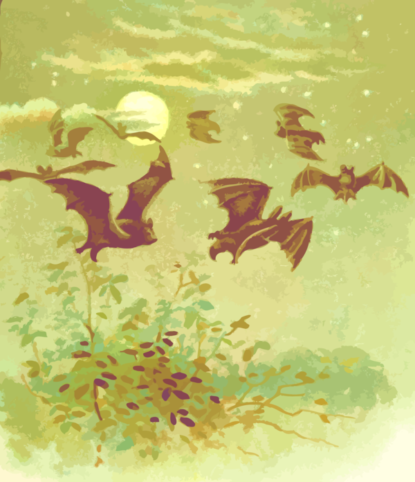 Free Bird Flora Leaf Watercolor Paint Clipart Clipart Transparent Background