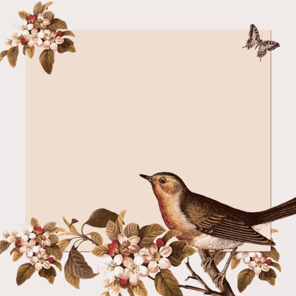 Free Bird Bird Flora Beak Clipart Clipart Transparent Background
