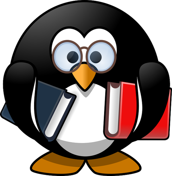 Free Bird Penguin Beak Flightless Bird Clipart Clipart Transparent Background