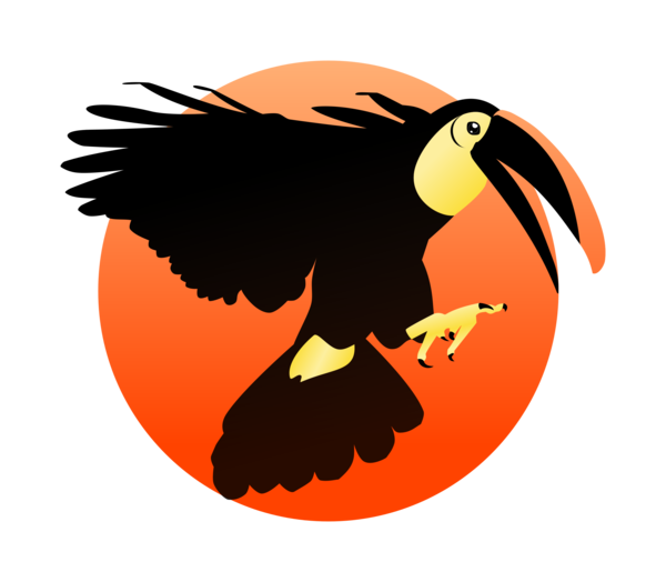 Free Bird Beak Bird Eagle Clipart Clipart Transparent Background