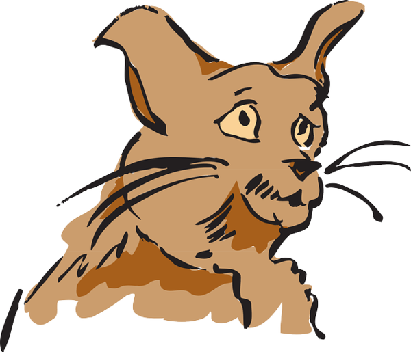 Free Cat Dog Wildlife Head Clipart Clipart Transparent Background