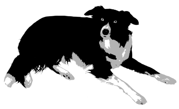 Free Bear Black And White Dog Silhouette Clipart Clipart Transparent Background