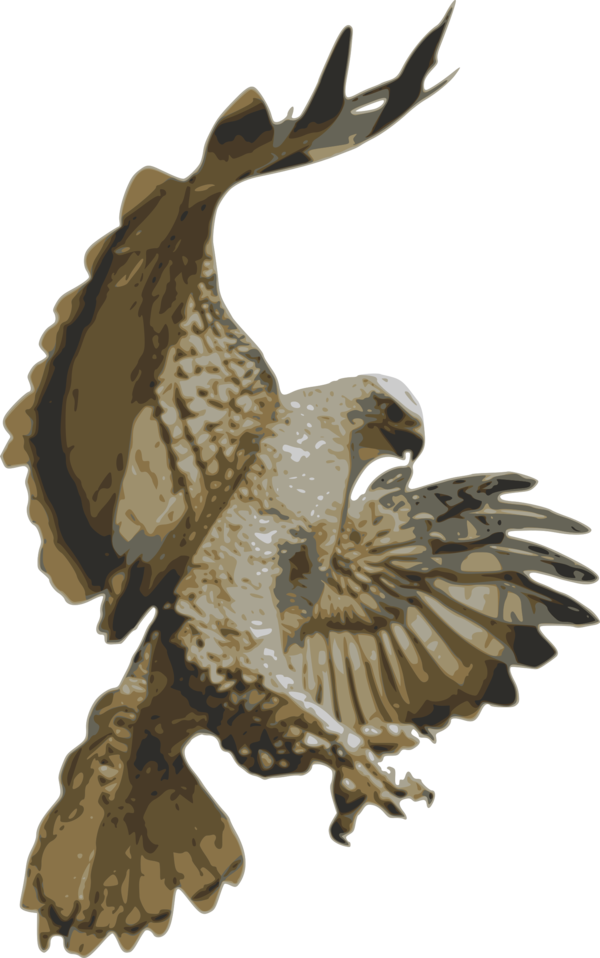 Free Bird Bird Of Prey Hawk Eagle Clipart Clipart Transparent Background