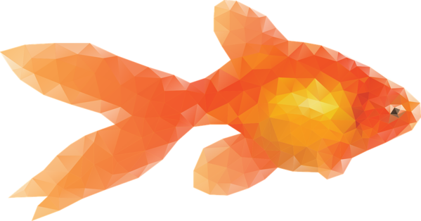 Free Fish Fish Goldfish Fin Clipart Clipart Transparent Background