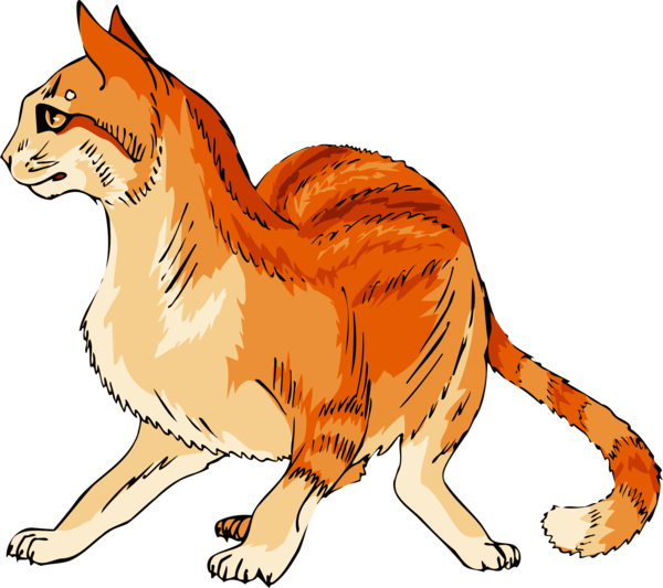 Free Cat Cat Red Fox Wildlife Clipart Clipart Transparent Background