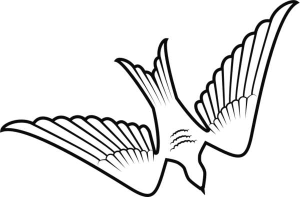 Free Bird Beak Black And White Line Art Clipart Clipart Transparent Background