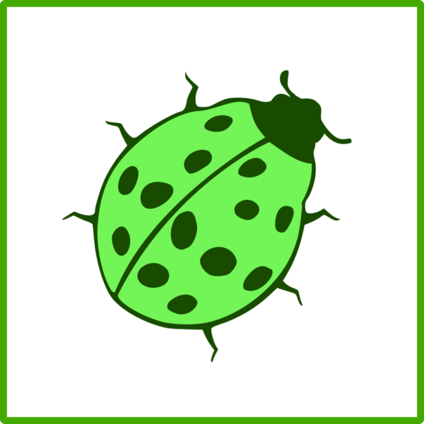 Free Insect Insect Ladybird Leaf Clipart Clipart Transparent Background