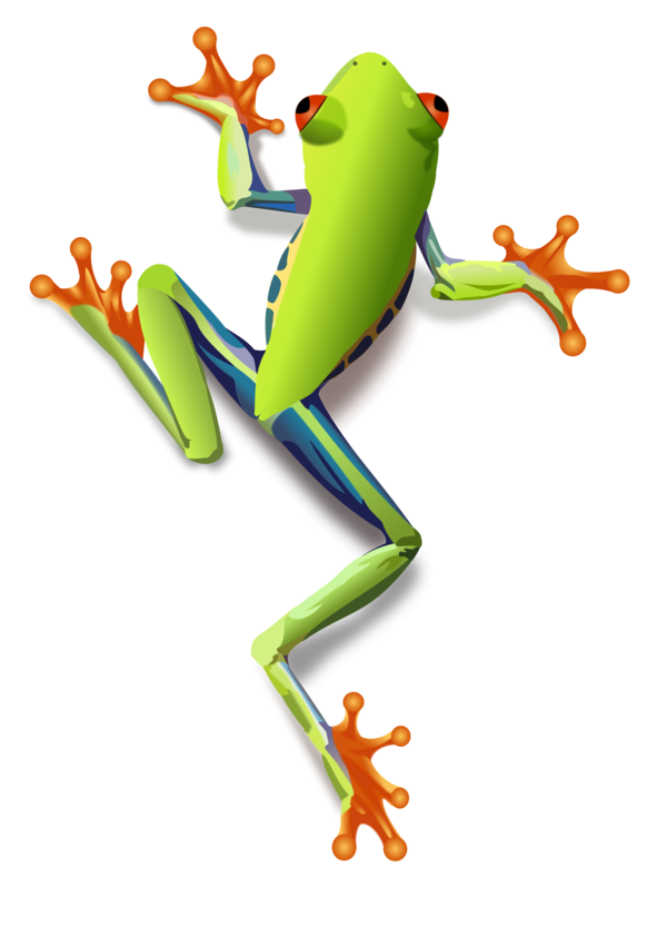 Free Frog Tree Frog Frog Animal Figure Clipart Clipart Transparent Background