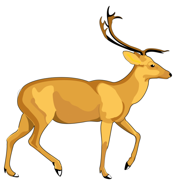 Free Deer Wildlife Deer Antelope Clipart Clipart Transparent Background