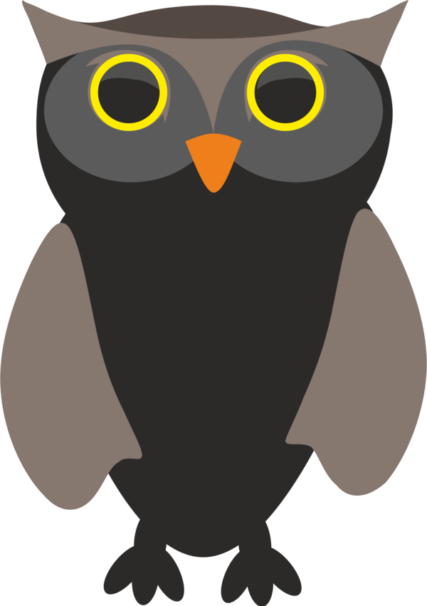 Free Bird Owl Bird Beak Clipart Clipart Transparent Background