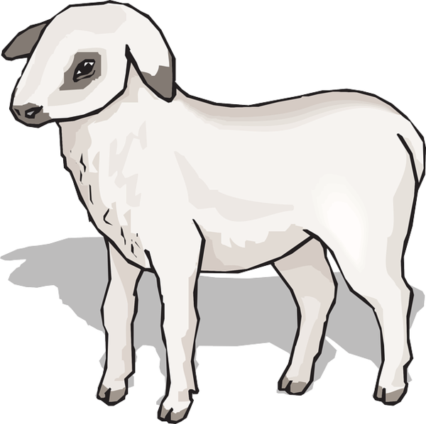 Free Goat Line Art Cowgoat Family Goats Clipart Clipart Transparent Background