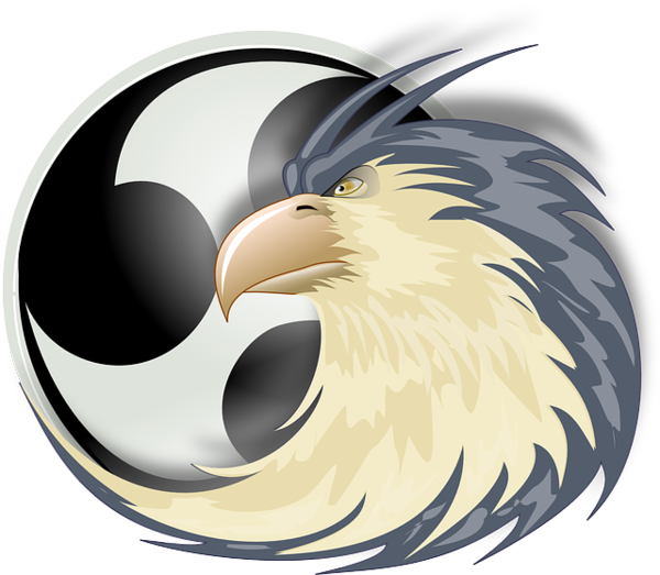 Free Bird Beak Bird Of Prey Bird Clipart Clipart Transparent Background