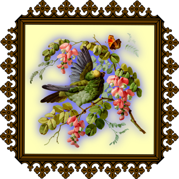 Free Bird Flower Flora Picture Frame Clipart Clipart Transparent Background