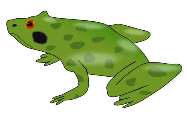 Free Fish Toad Frog Tree Frog Clipart Clipart Transparent Background