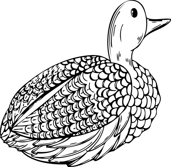 Free Hunting Beak Black And White Bird Clipart Clipart Transparent Background
